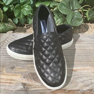ECENTRCQ black Steve Madden